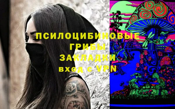 таблы Белокуриха